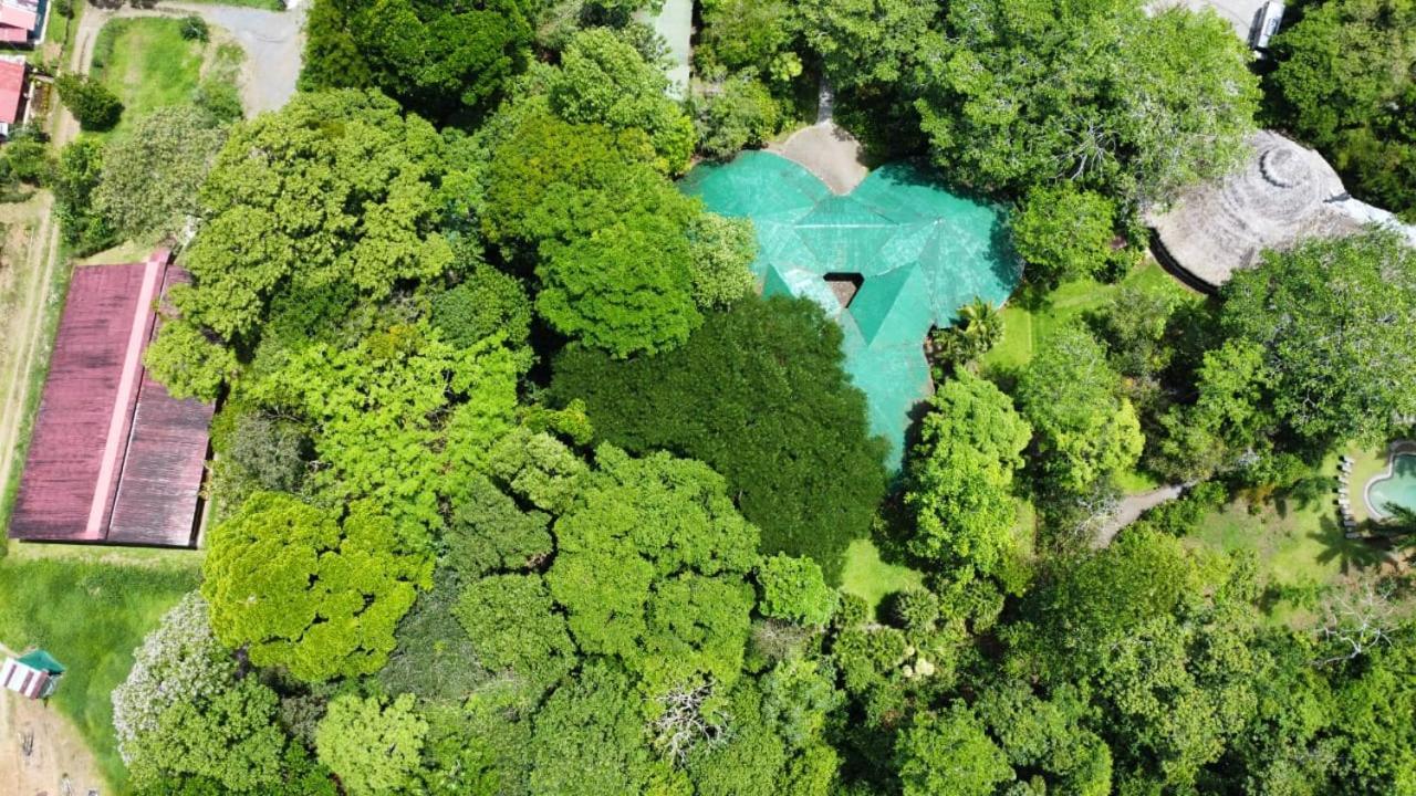 Tirimbina Rainforest Lodge Sarapiquí Exterior photo