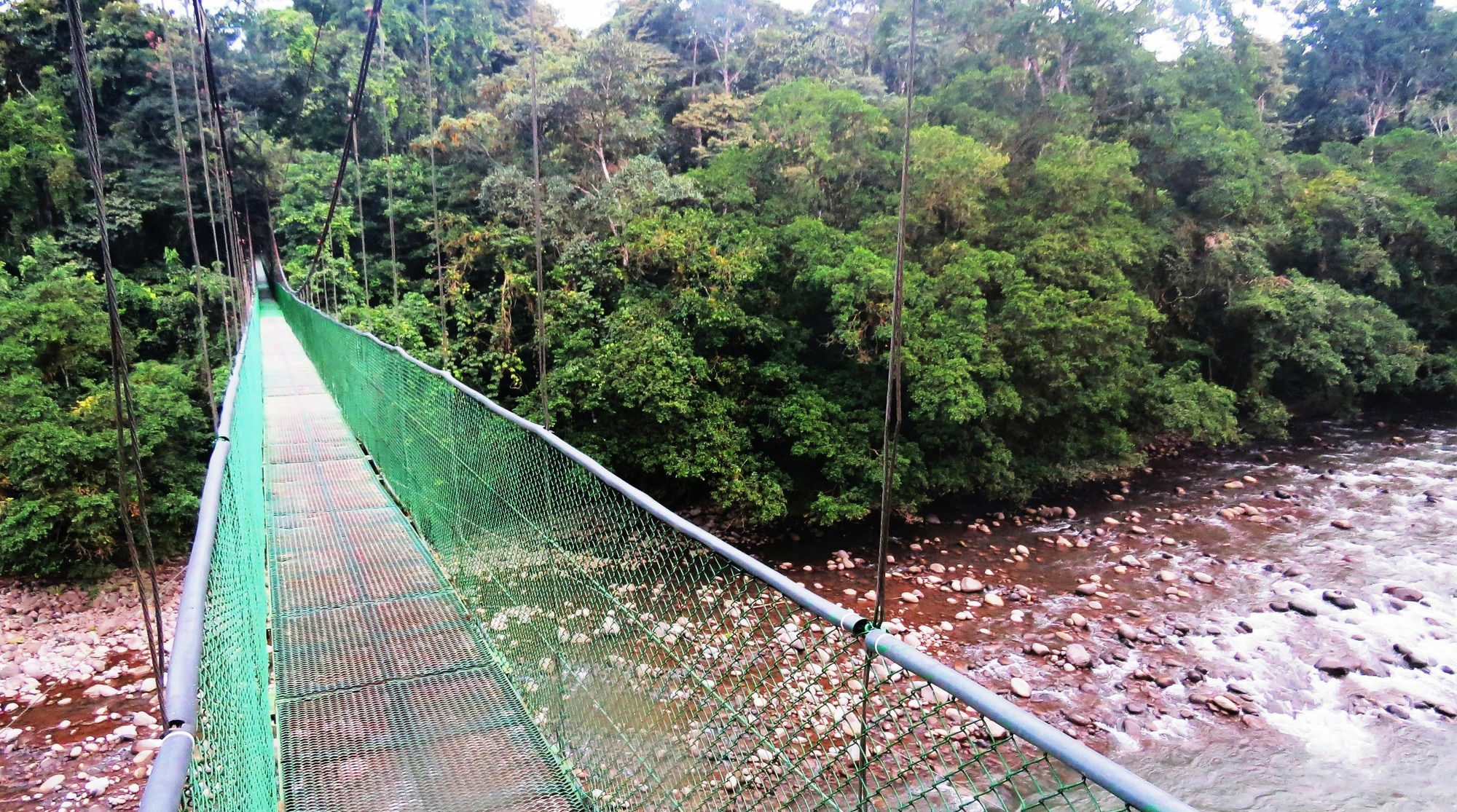 Tirimbina Rainforest Lodge Sarapiquí Exterior photo