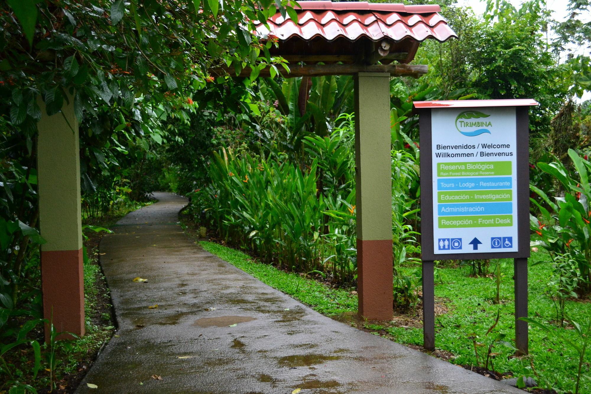 Tirimbina Rainforest Lodge Sarapiquí Exterior photo